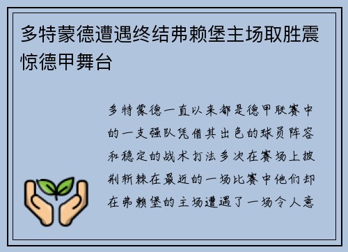 多特蒙德遭遇终结弗赖堡主场取胜震惊德甲舞台